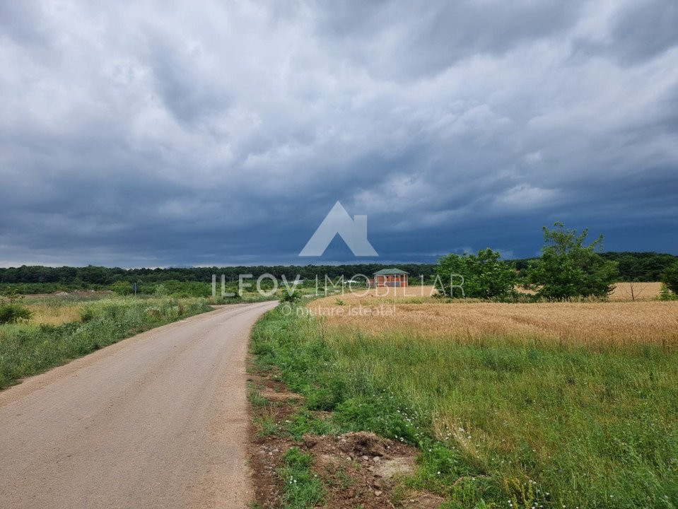 Teren intravilan 6525mp, dezmembrat 9 loturi, asfalt