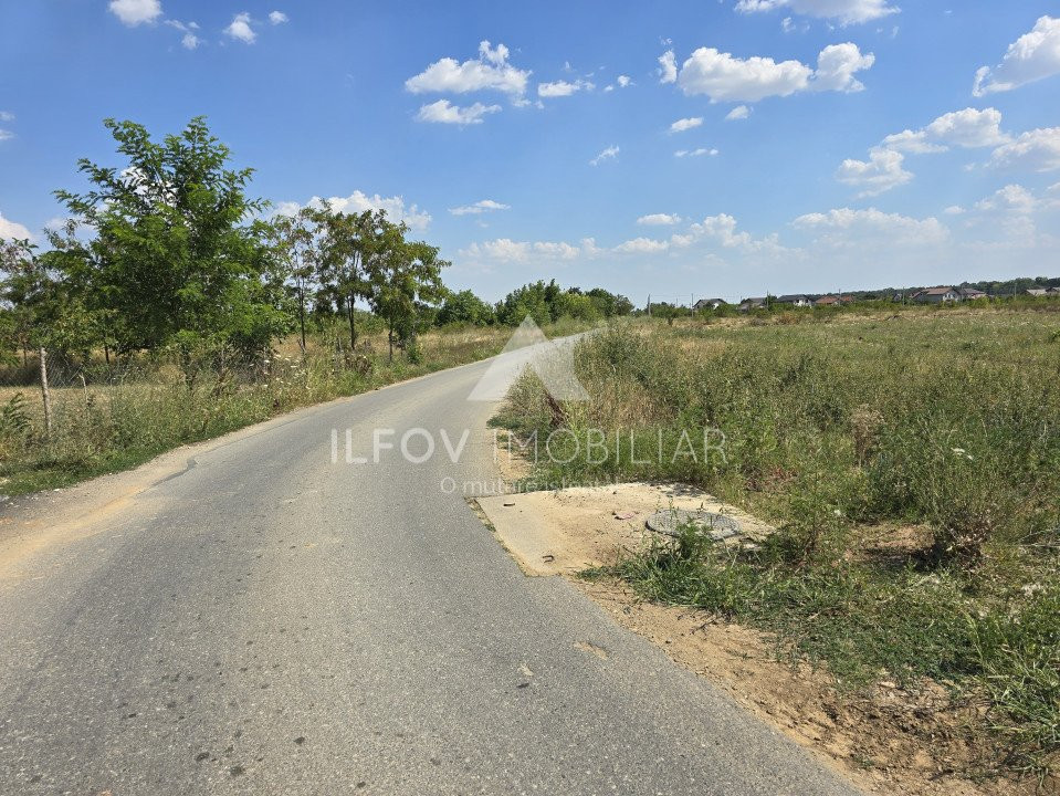 Teren intravilan 6525mp, dezmembrat 9 loturi, asfalt