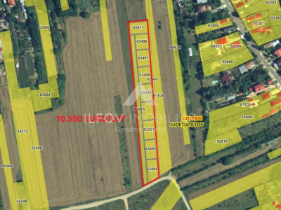 Teren intravilan Ciolpani 6525mp, dezmembrat in 9 loturi, asfalt