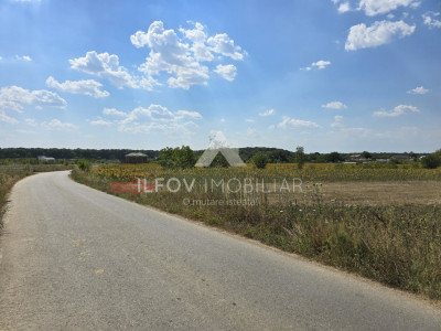 Teren intravilan 6525mp, dezmembrat 9 loturi, asfalt