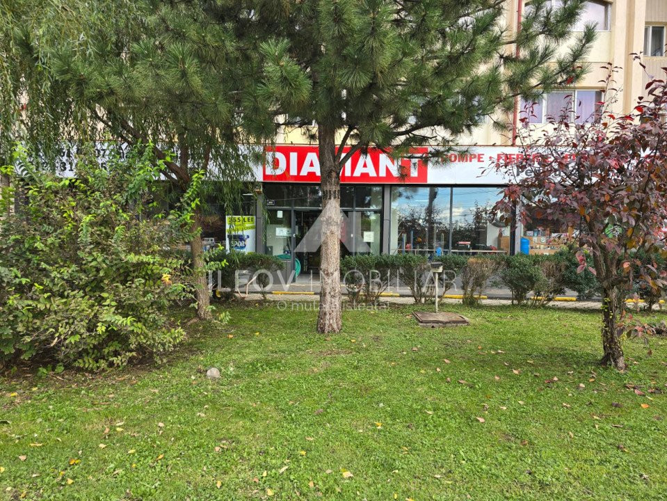 Spatiu Comercial Otopeni la Dn1, trafic pietonal si auto