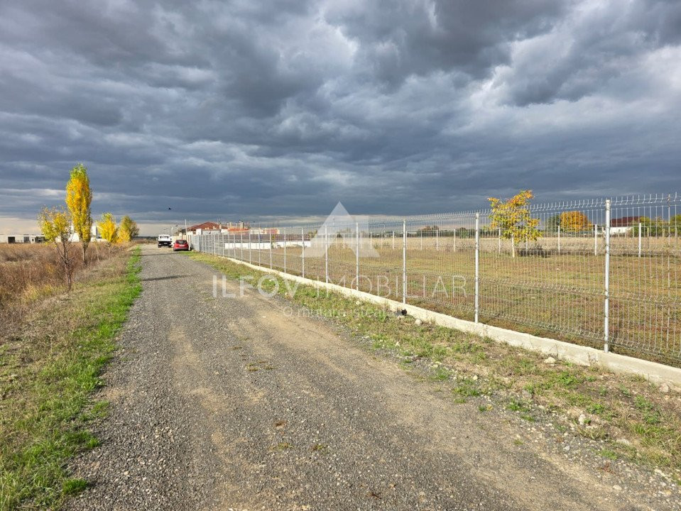 Teren intravilan Dimieni, 500mp, 29ml deschidere, pretabil constructie casa