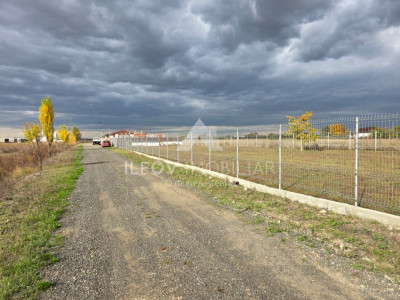 Teren intravilan Dimieni, 500mp, 29ml deschidere, pretabil constructie casa