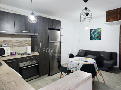 Studio 2 nivele 42mp, utilat si mobilat, curte 11mp, parcare