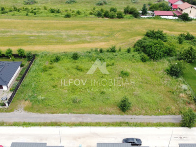 Balotești Str. Cireșului - Teren intravilan 1068 mp, deschidere 33 ml, utilități