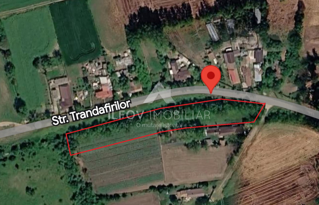 Teren intravilan Nuci, 3100mp, deschidere 171.5m, asfalt