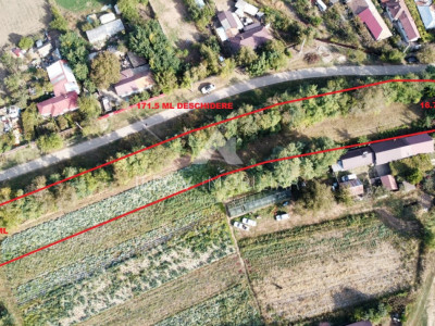 Teren intravilan Nuci, 3100mp, deschidere 171.5m, asfalt